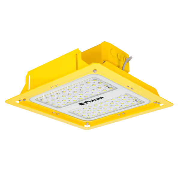 Pelsan Piroliz Ex-Proof